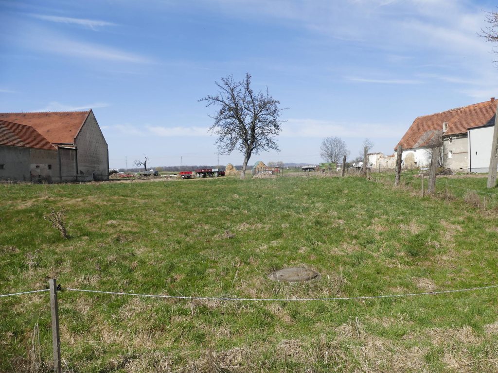 OLSZANY, miejsce po założeniu pałacowym, (fot. T. Dudziak, 2026)