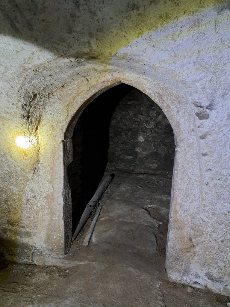 MACIEJOWIEC, gotyckie wejście do piwnicy pod pn. skrzydłem, 2025 r. (fot. M. Chorowska, Katalog Zamków i Dworów Obronnych Śląska [https://zamki.pwr.edu.pl/]. Licencja: CC BY-NC 4.0 [https://creativecommons.org/licenses/by-nc/4.0/])