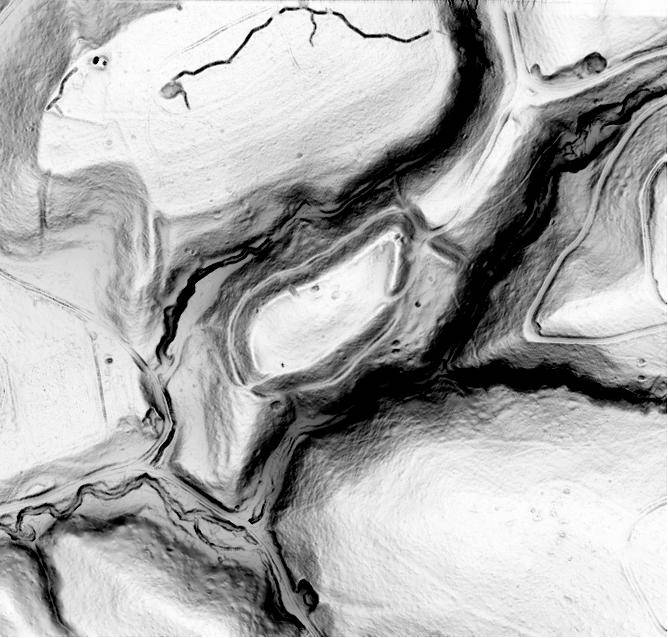 WITOSTOWICE, sky view factor (stopień widoczności nieba) otoczenia stanowiska na podstawie numerycznego modelu terenu (oprac. M. Legut-Pintal, P. Rajski, Katalog Zamków i Dworów Obronnych Śląska [https://zamki.pwr.edu.pl/]. Licencja: CC BY-SA 4.0 [https://creativecommons.org/licenses/by-nc/4.0/])