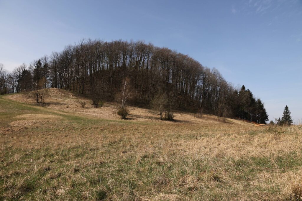 HOMOLE, szczyt góry Gomoła, widok od wsch. (fot. K. Jaworski)